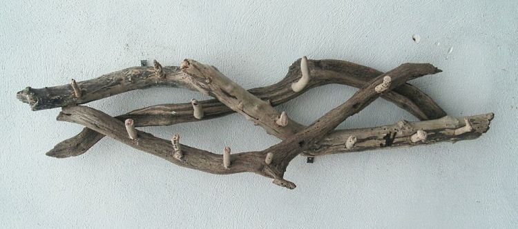 Driftwood Coat Hooks