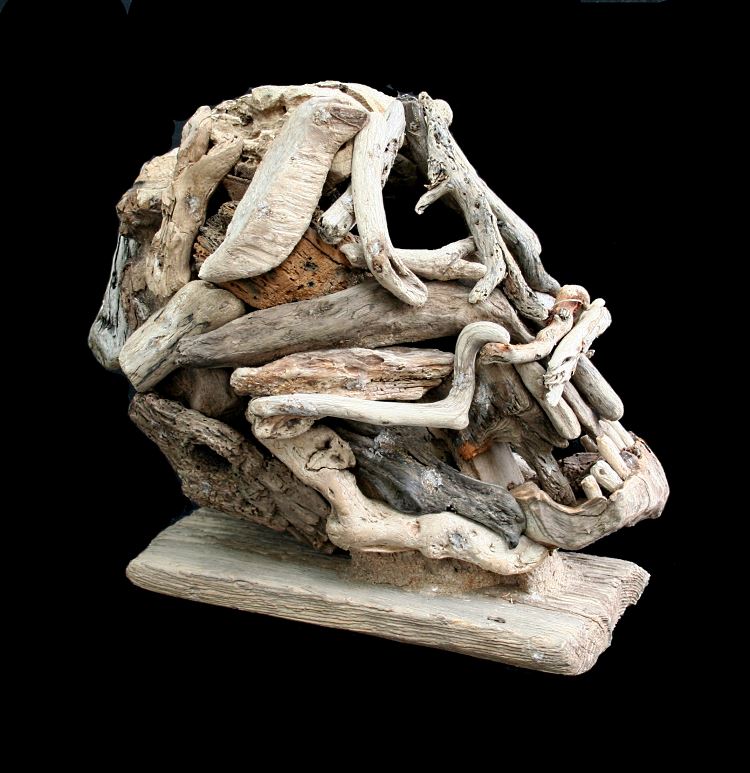 Driftwood Skull
